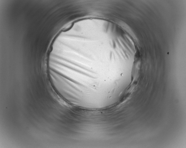 X0000074211292200609221932