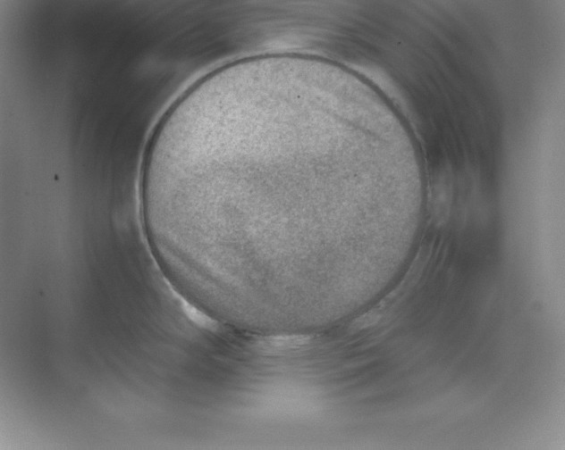 X0000074211294200609221932