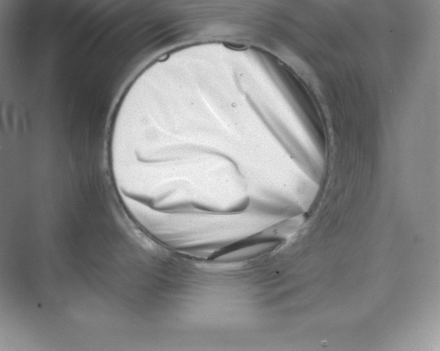 X0000074211296200609221932