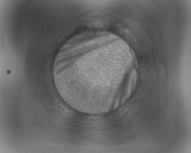 X0000074211297200609221931