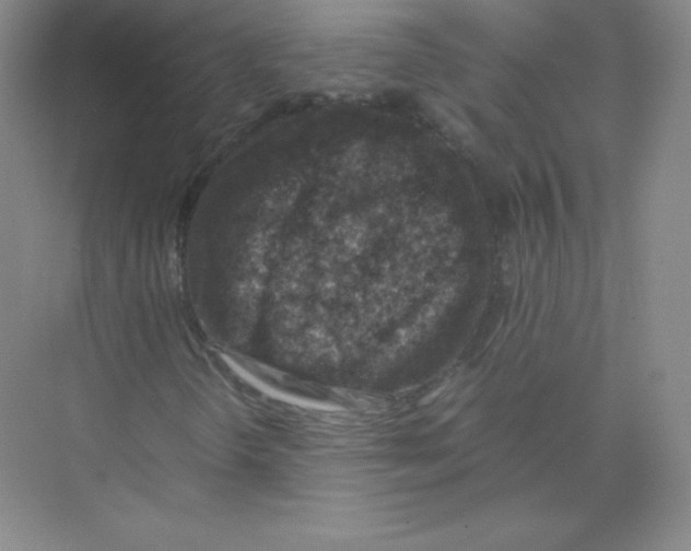 X0000074211298200609221931