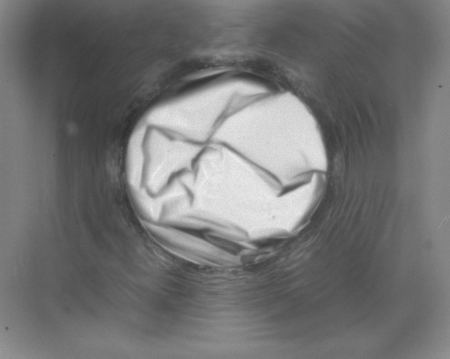 X0000074211300200609221931