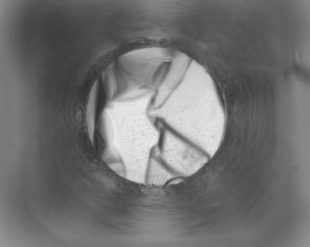 X0000074211302200609221931