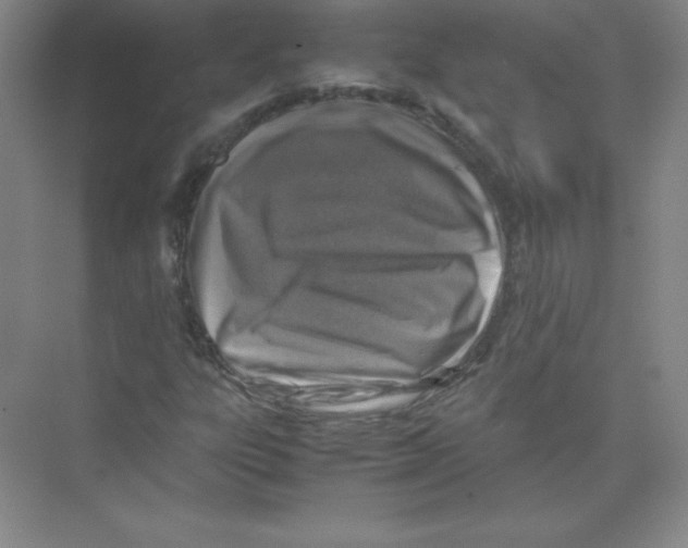 X0000074211303200609221931