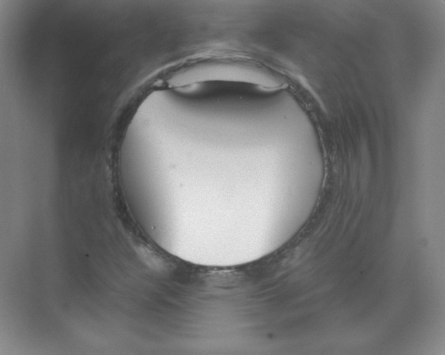 X0000074211304200609221931