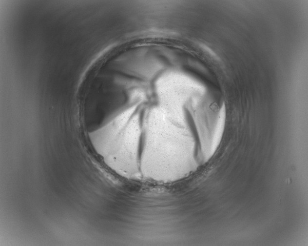 X0000074211310200609221931