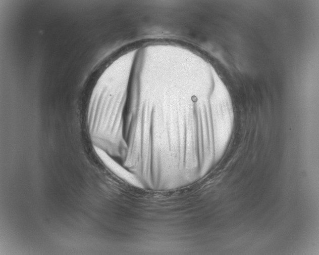 X0000074211311200609221931