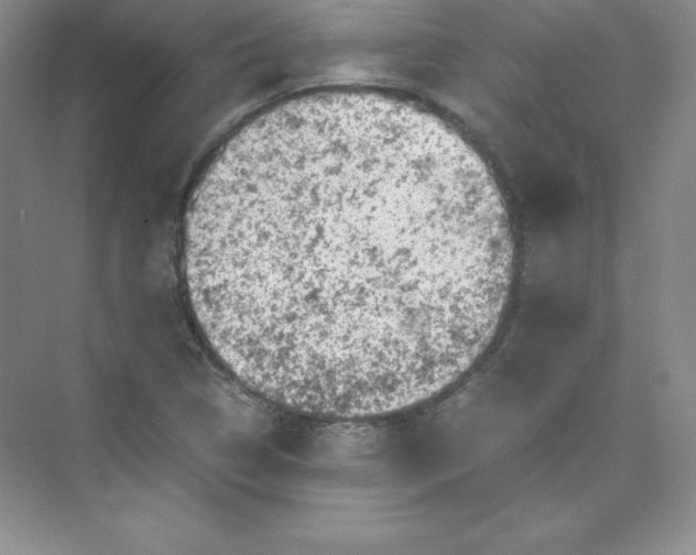 X0000074211314200609221931