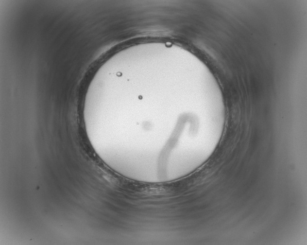 X0000074211315200609221931