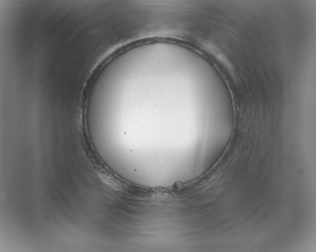 X0000074211316200609221931