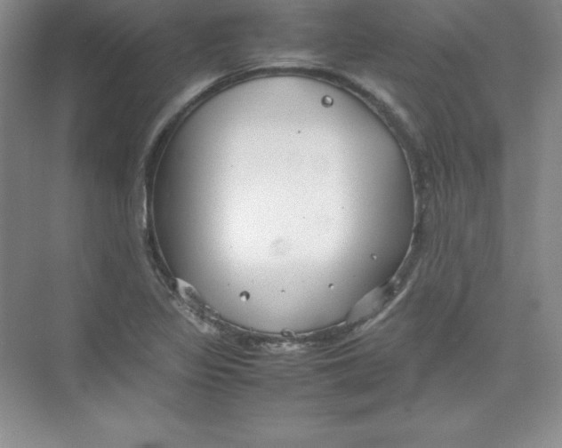 X0000074211317200609221931