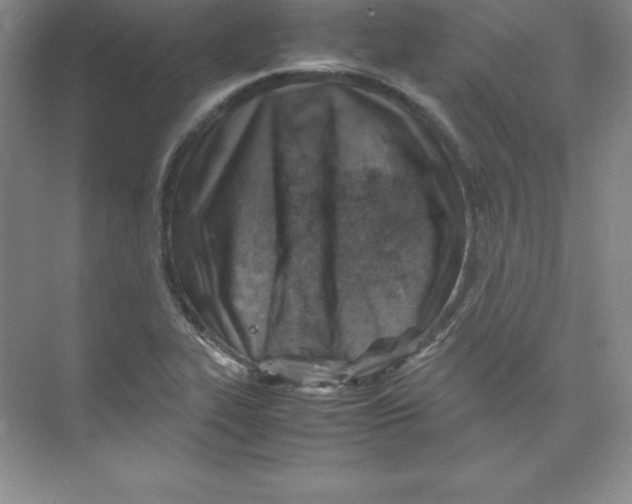 X0000074211319200609221931