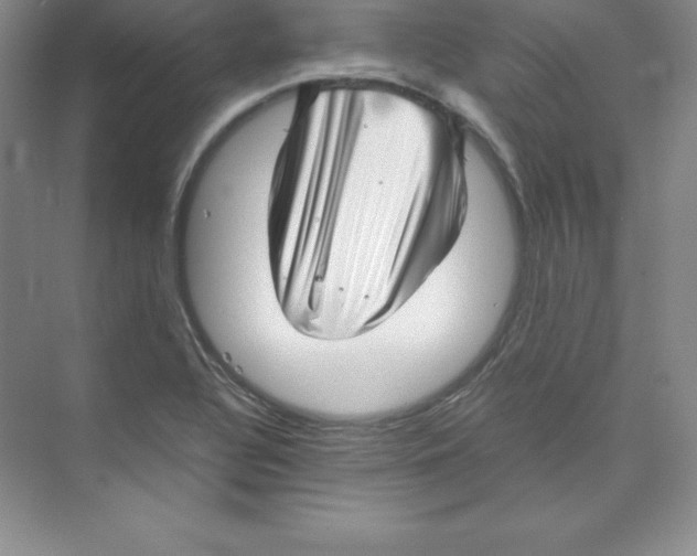 X0000074211320200609221931