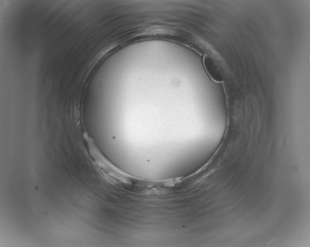 X0000074211321200609221931