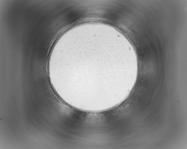 X0000074211322200609221931