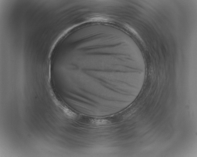 X0000074211323200609221931