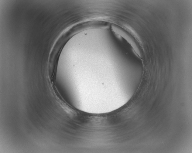 X0000074211324200609221931