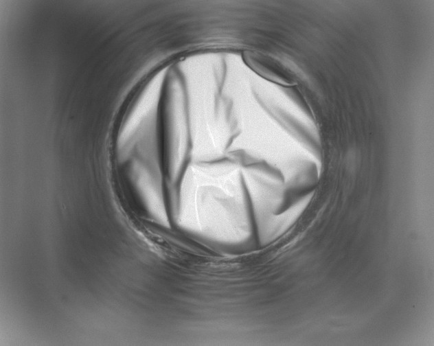 X0000074211325200609221931