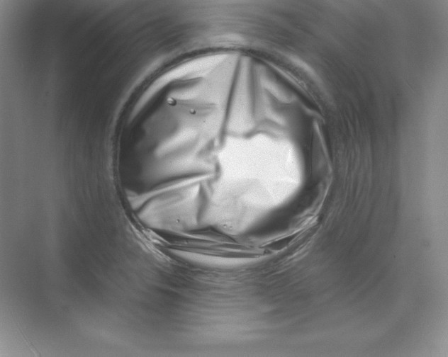 X0000074211326200609221931