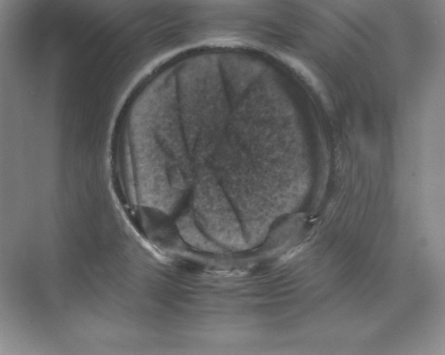 X0000074211327200609221931