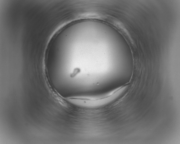 X0000074211328200609221931