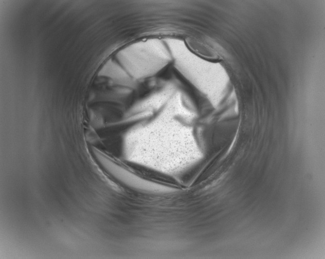 X0000074211329200609221931