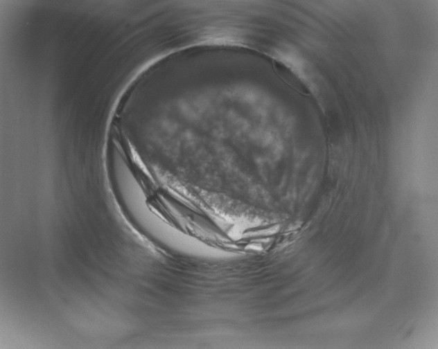 X0000074211331200609221931