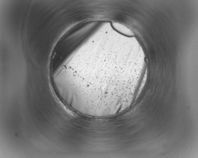 X0000074211333200609221931