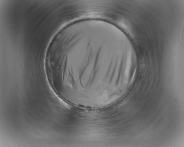 X0000074211334200609221931