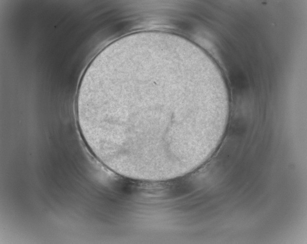 X0000074211338200609221931