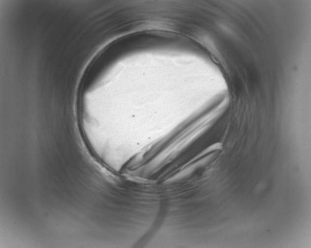 X0000074211339200609221931