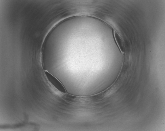 X0000074211340200609221931