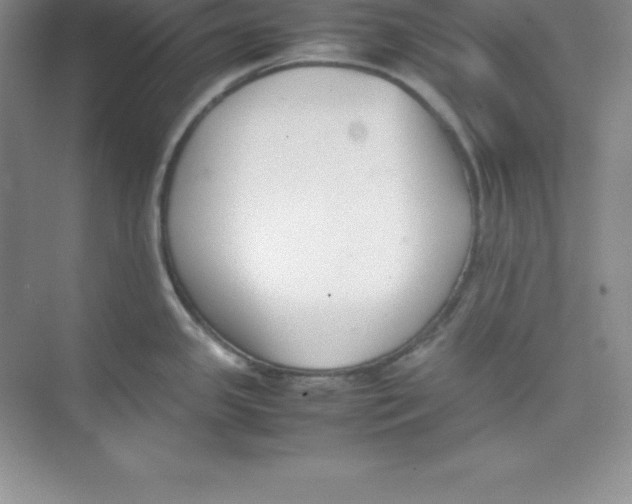 X0000074211341200609221932