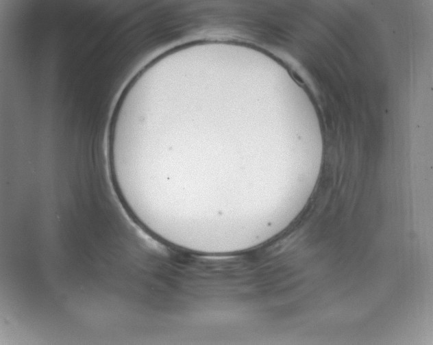 X0000074211343200609221932