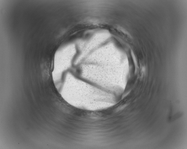 X0000074211348200609221931