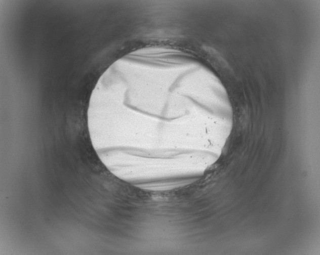 X0000074211350200609221931