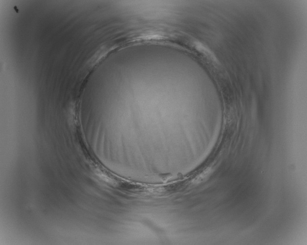 X0000074211353200609221931