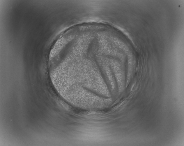 X0000074211359200609221931