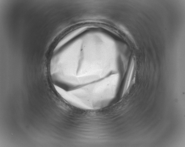 X0000074211360200609221931