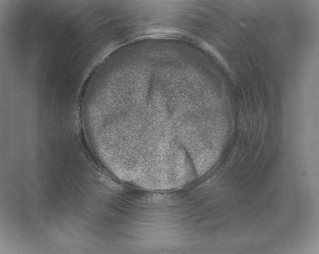 X0000074211362200609221930