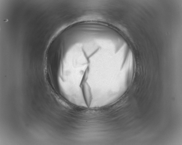 X0000074211366200609221930