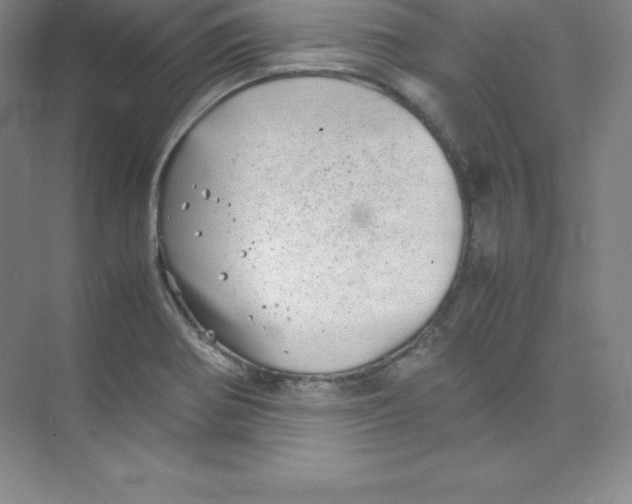 X0000074211370200609221930