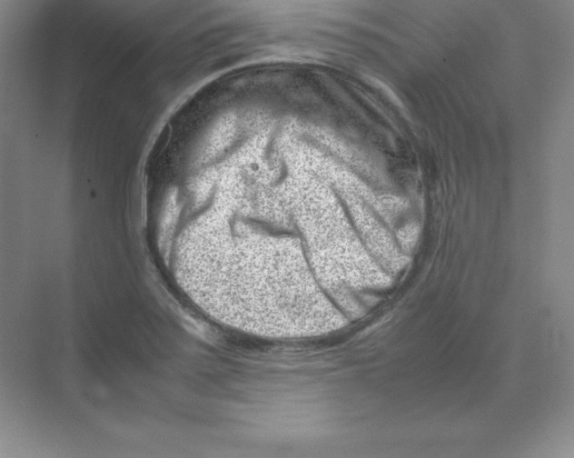 X0000074211371200609221930