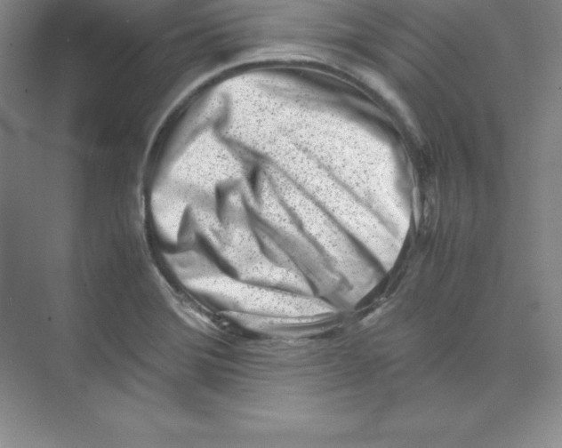 X0000074211372200609221930