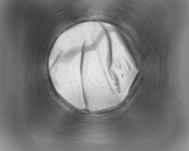 X0000074211374200609221930