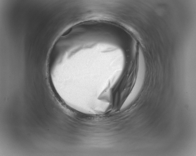 X0000074211375200609221930