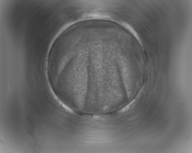 X0000074211381200609221930