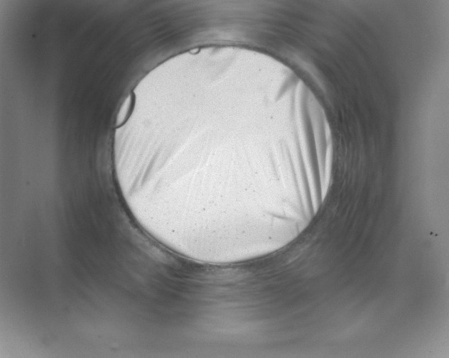 X0000074211382200609221930