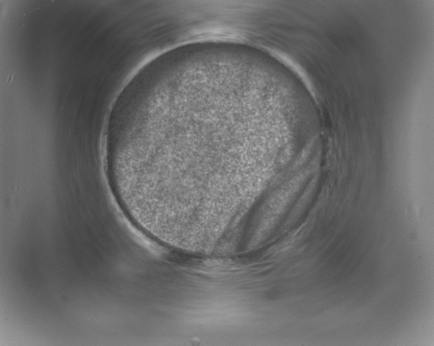 X0000074211383200609221930