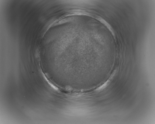 X0000074211385200609221930